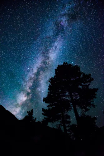 How Can I Spot The Difference Between Stars And Planets?