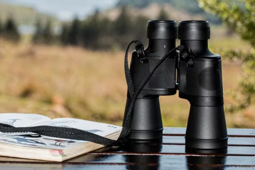 What Is The Best Telescope For Beginners In Celestial Observation?