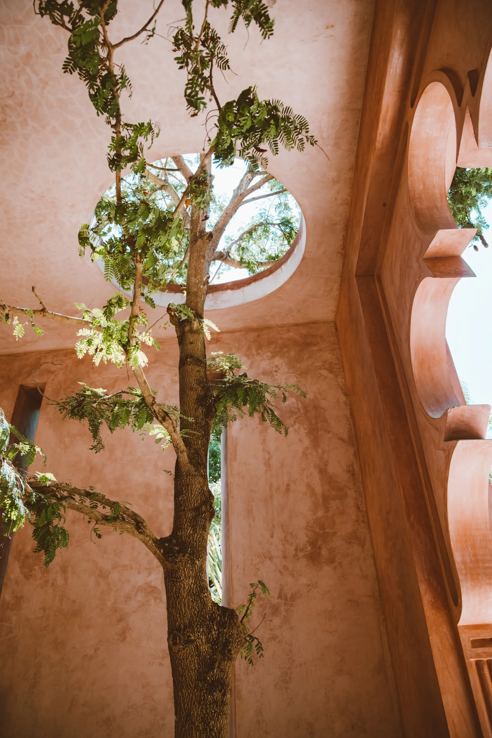 What Are Adaptive Optics In Telescopes? What Are Adaptive Optics In Telescopes?