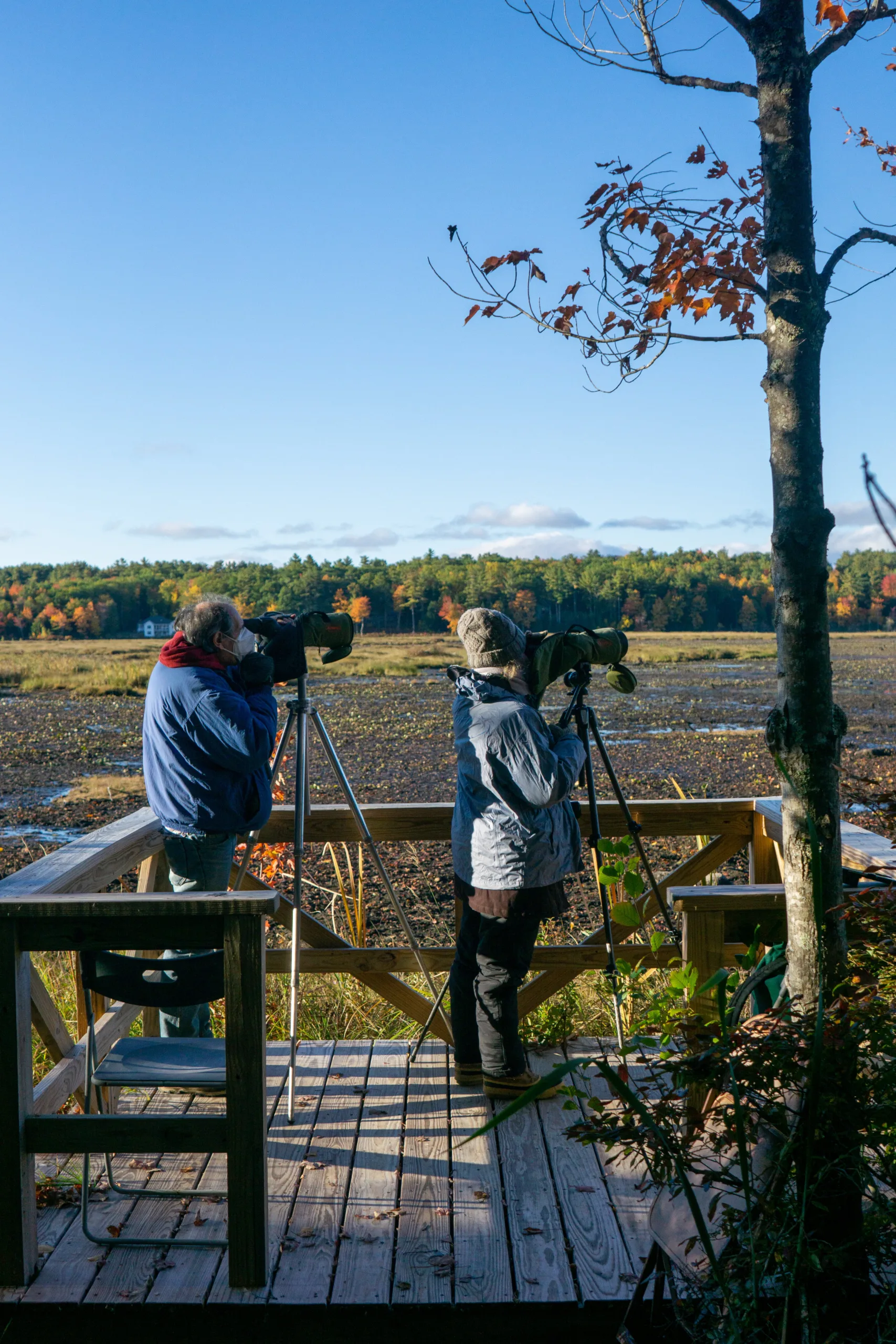 The Best Telescopes for Observing Planets